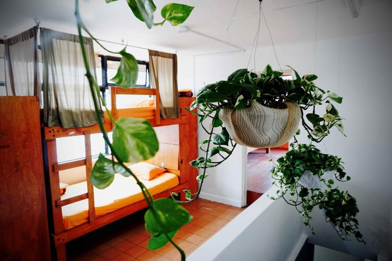Cama en habitación compartida mixta de 10 camas